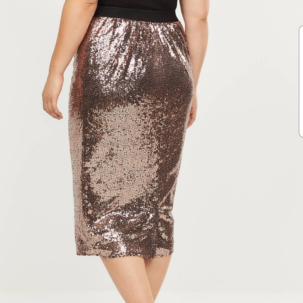 🔥NWT🔥Skirt - Picture 3 of 4